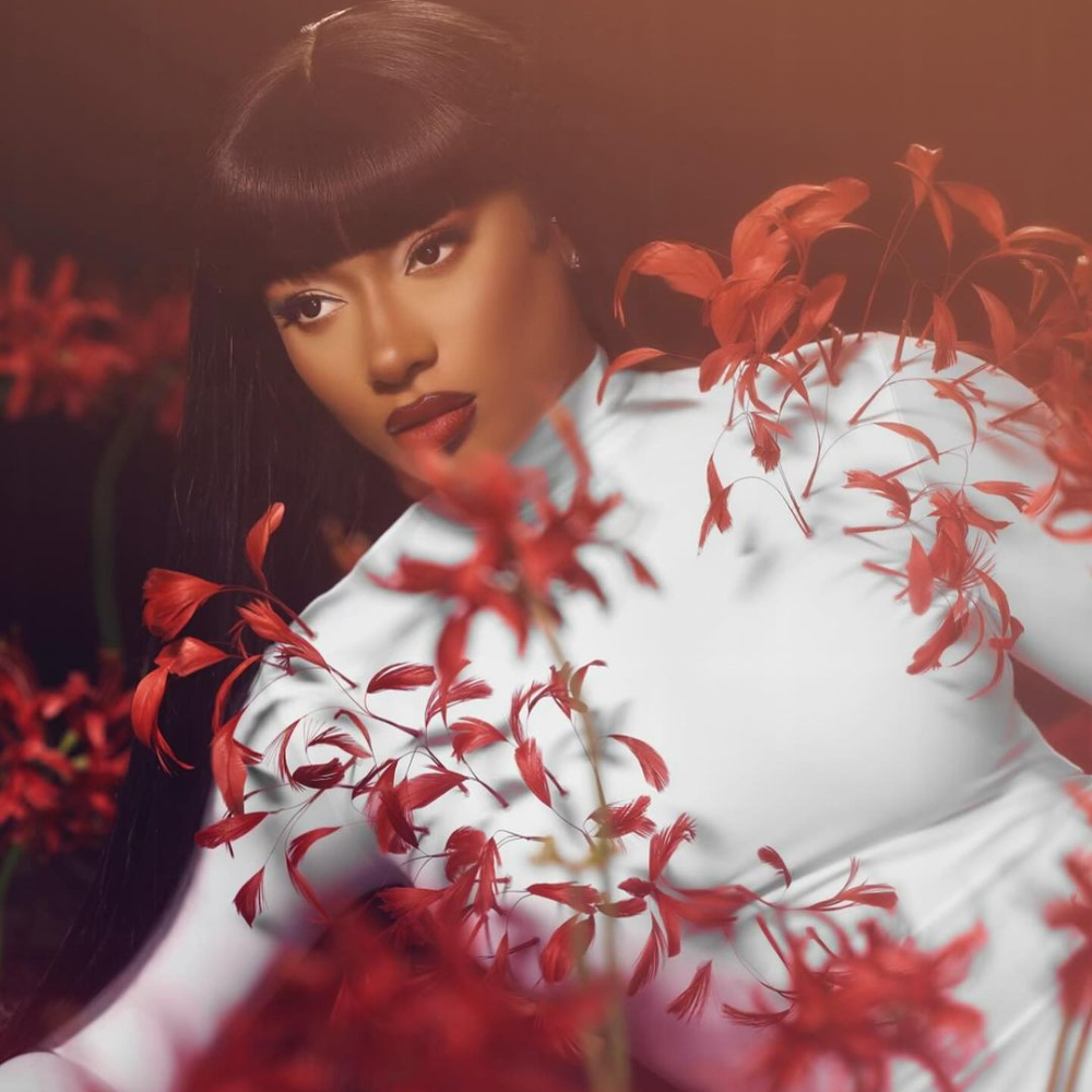 megan-thee-stallion-deepfake